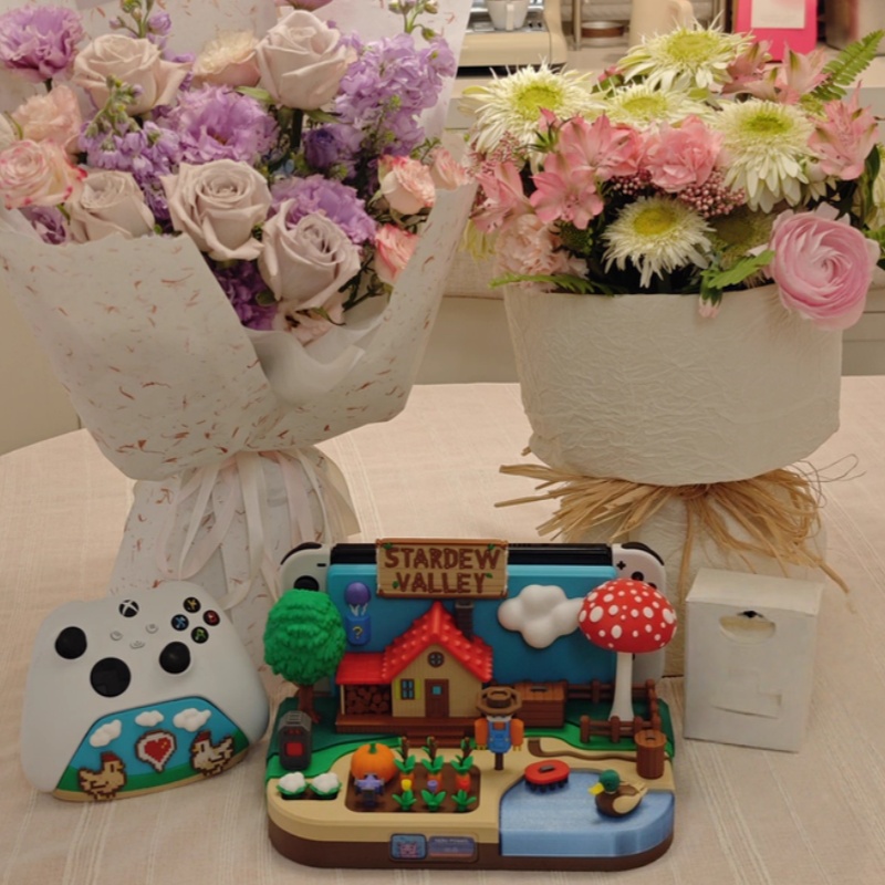 Switch Dock Stardew Valley Far - Gaming Console In 评论和价格